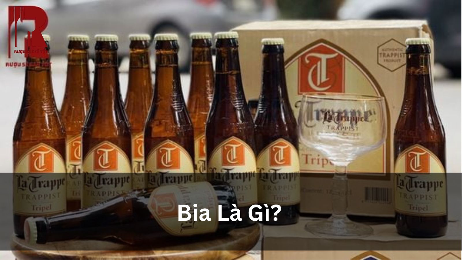 Bia Là Gì? Khám Phá Từ A-Z Về Đồ Uống “Quốc Dân” Này