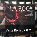 Vang Bịch Là Gì? Tìm Hiểu Loại Rượu Vang “Bình Dân” Này