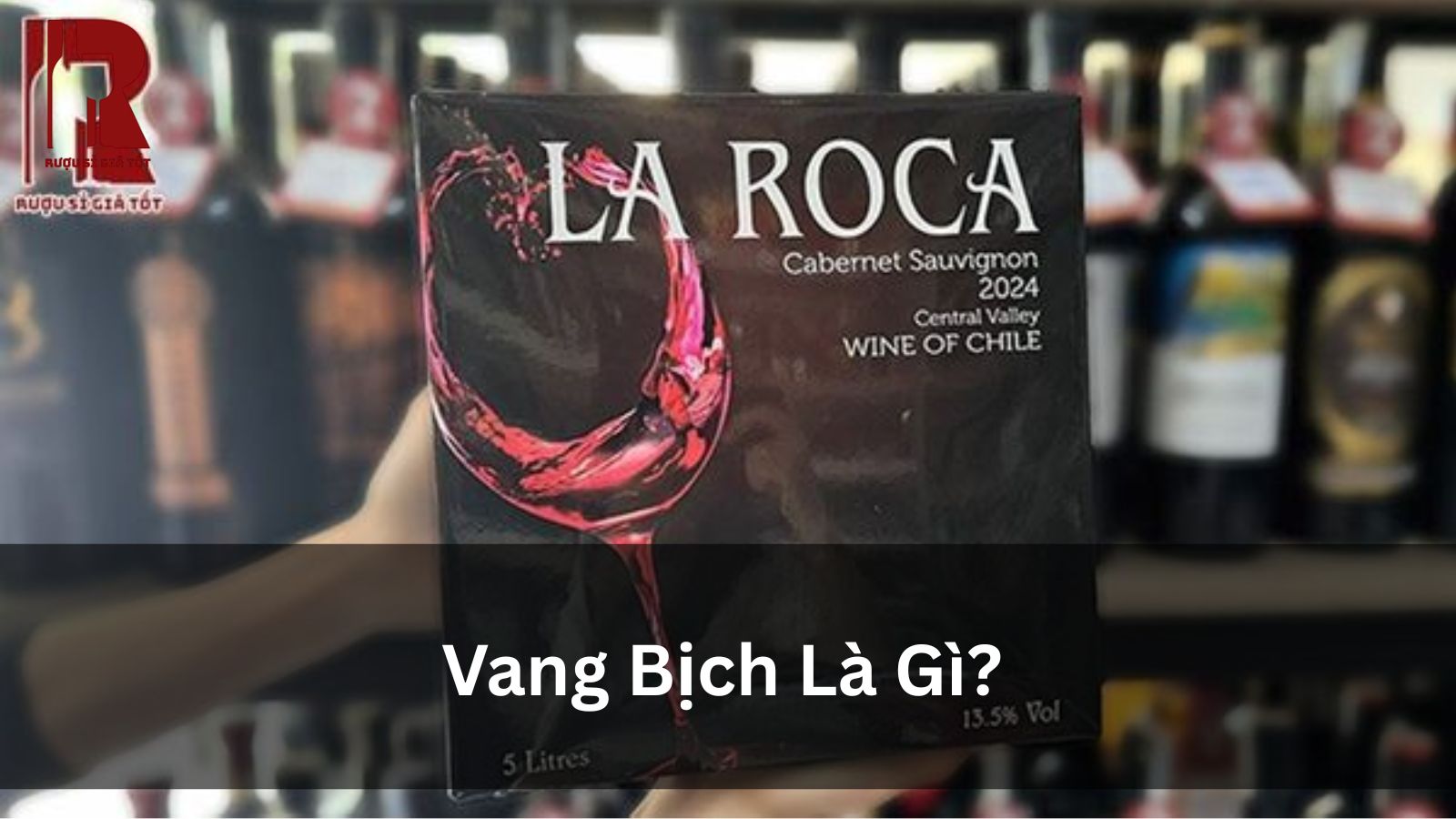 Vang Bịch Là Gì? Tìm Hiểu Loại Rượu Vang “Bình Dân” Này