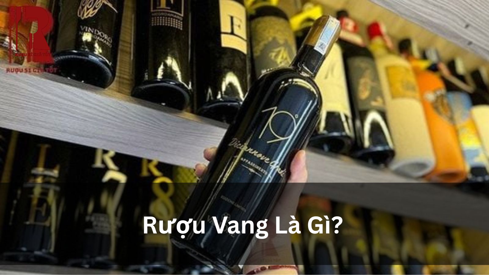 Rượu Vang Là Gì? Khám Phá Loại Đồ Uống “Quen Mà Lạ” Này