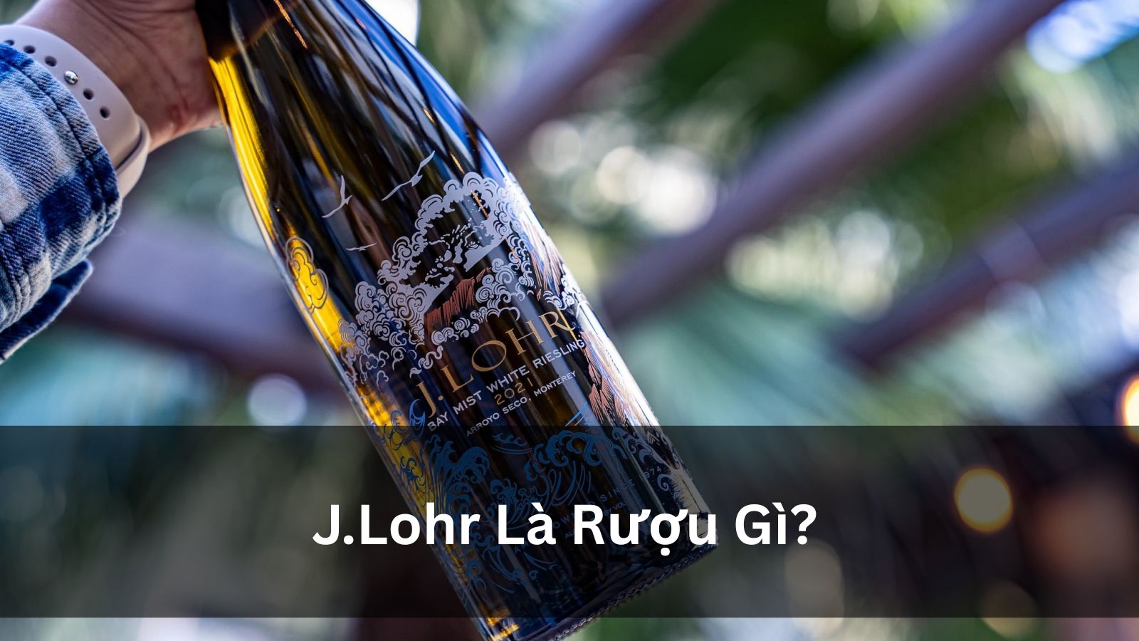 J.Lohr Là Gì? Tìm Hiểu Thương Hiệu Rượu Vang Mỹ J.Lohr