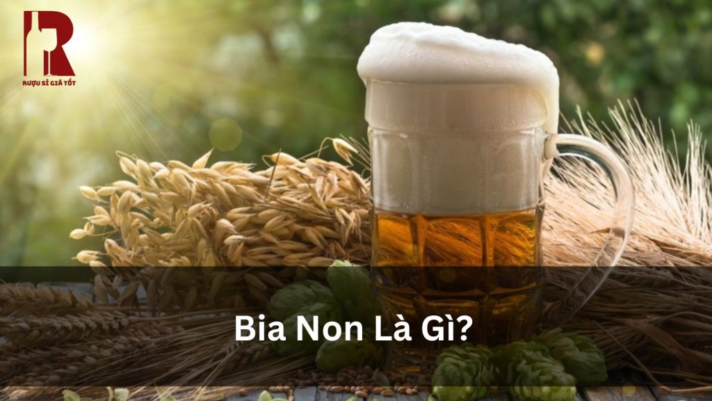 Bia Non là gì