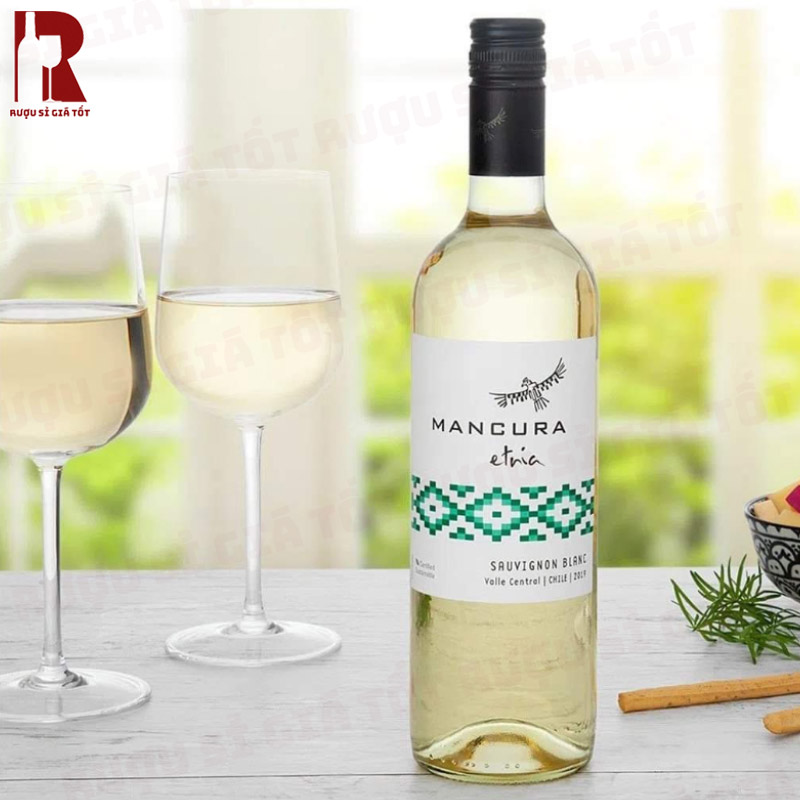 Rượu Vang Trắng Là Gì? Làm Từ Gì & Các Loại - Rượu Vang Chile Trắng Mancura Etnia Sauvignon Blanc Giá Rẻ