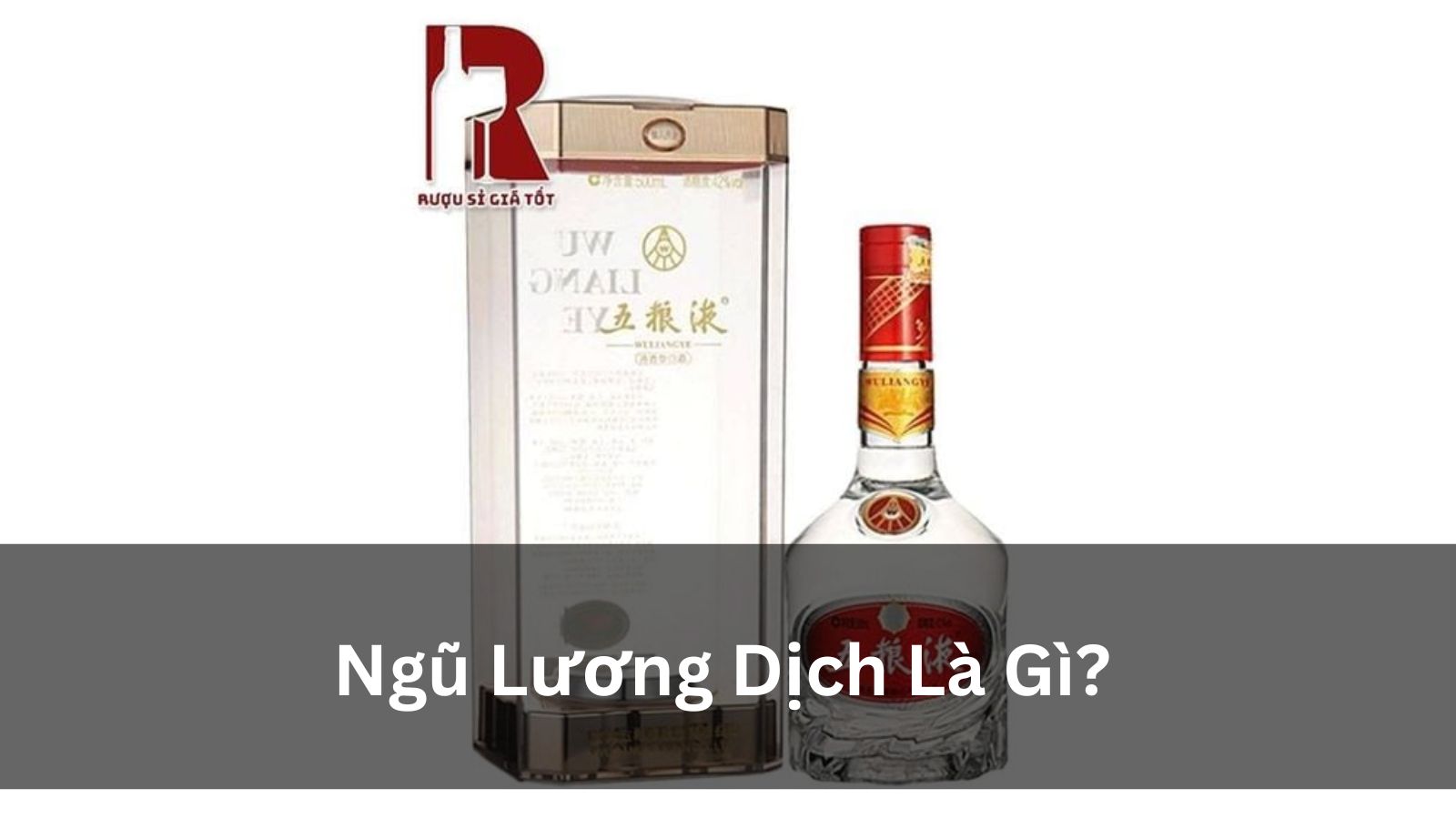 Ngũ Lương Dịch Là Gì? Khám Phá “Vua Rượu” Trung Quốc Có Gì Đặc Biệt