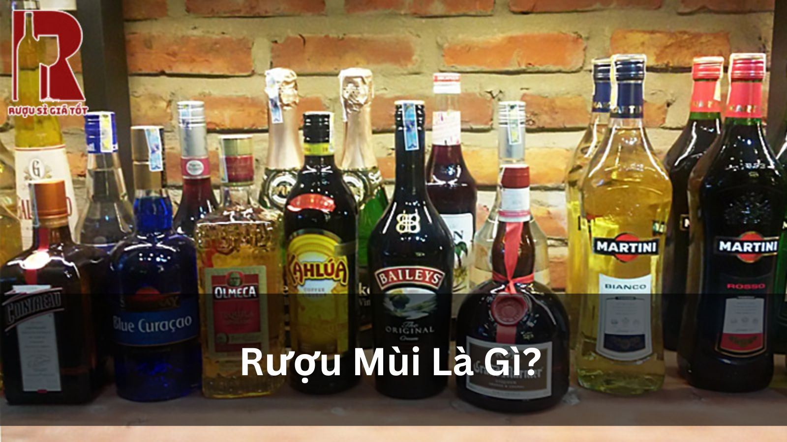 Rượu Mùi Là Gì? Hướng Dẫn Toàn Diện Cho Người Mới & Sành