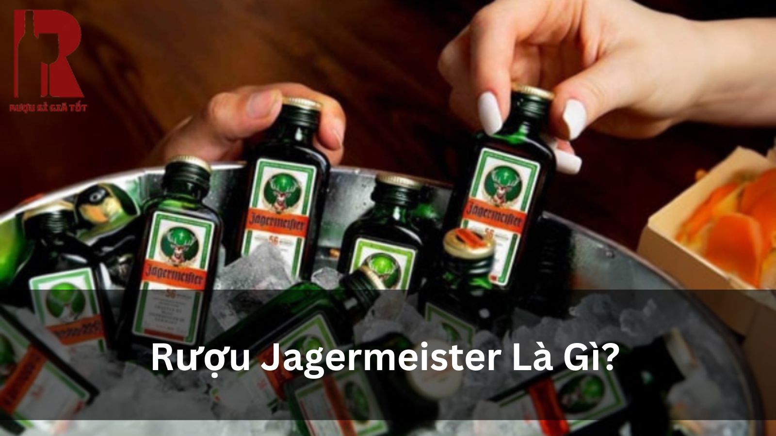 Jägermeister Là Gì? Thảo Mộc, Con Nai, Hay Là Rượu Đầu Hươu?