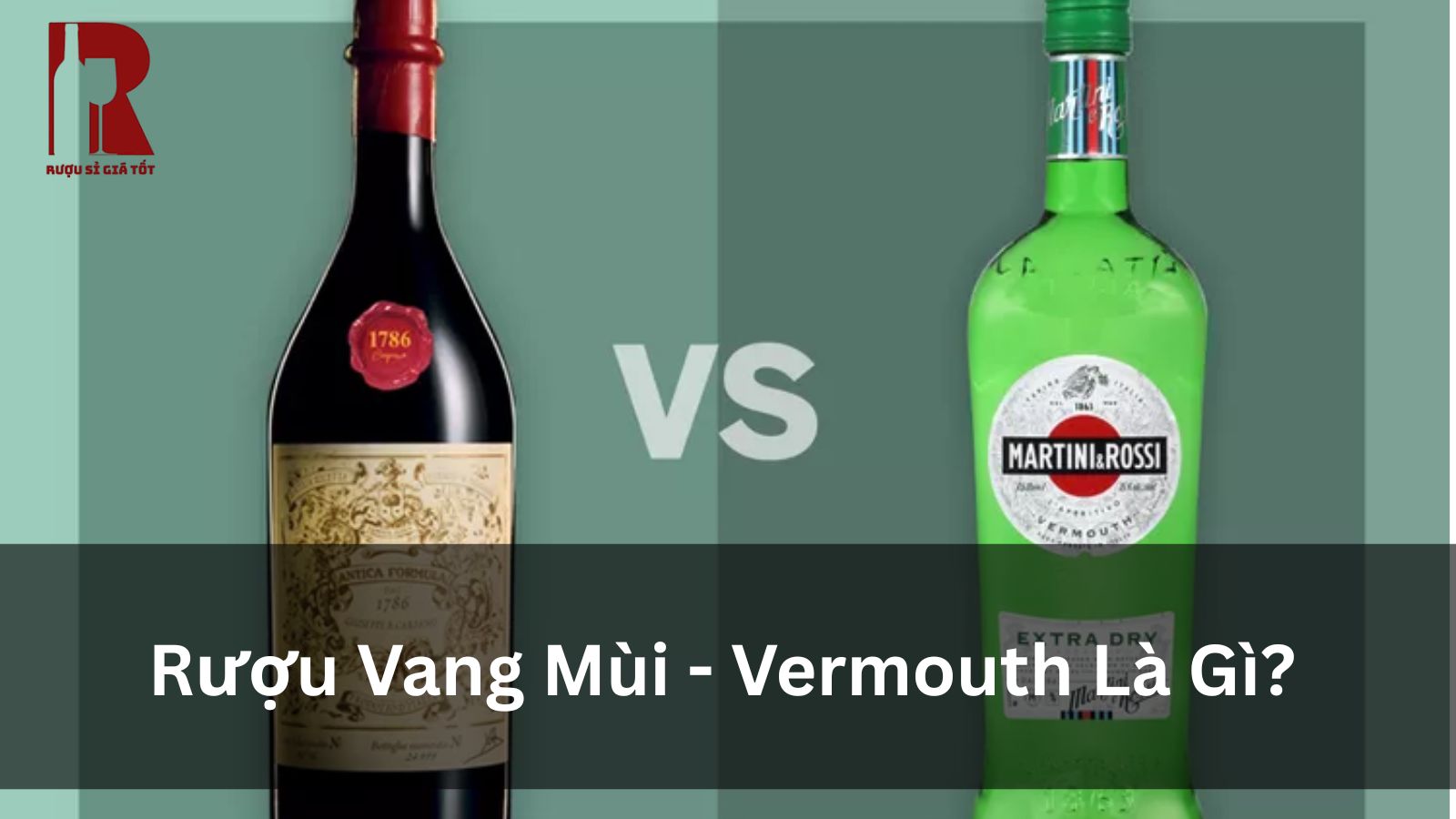Vermouth Là Gì? Tìm Hiểu Rượu Vang Mùi Chi Tiết