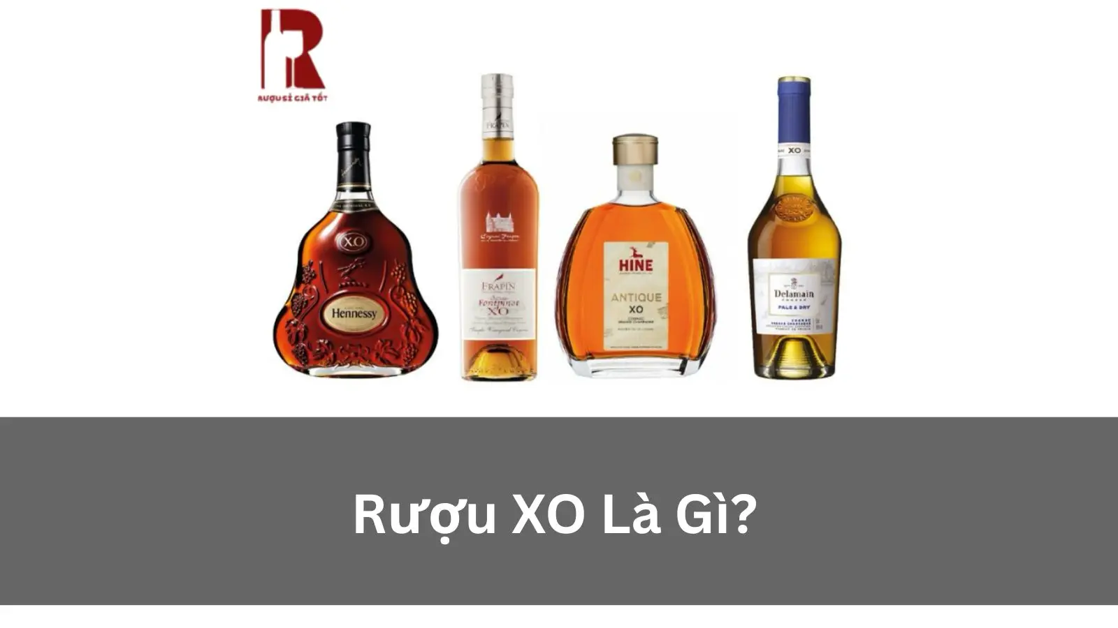 Rượu XO Là Gì? Giải Mã Dòng Cognac Cao Cấp Đỉnh Cao
