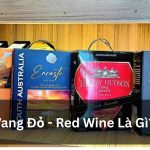 Vang Đỏ Là Gì? Hương Vị, Phân Loại & Cách Chọn