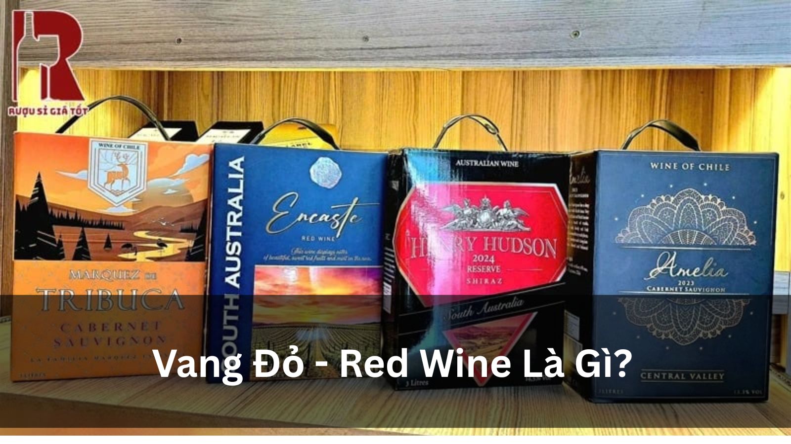 Vang Đỏ Là Gì? Hương Vị, Phân Loại & Cách Chọn