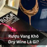 Vang Khô Là Gì? Hướng Dẫn Chọn Dry Wine Ngon Cho Người Mới
