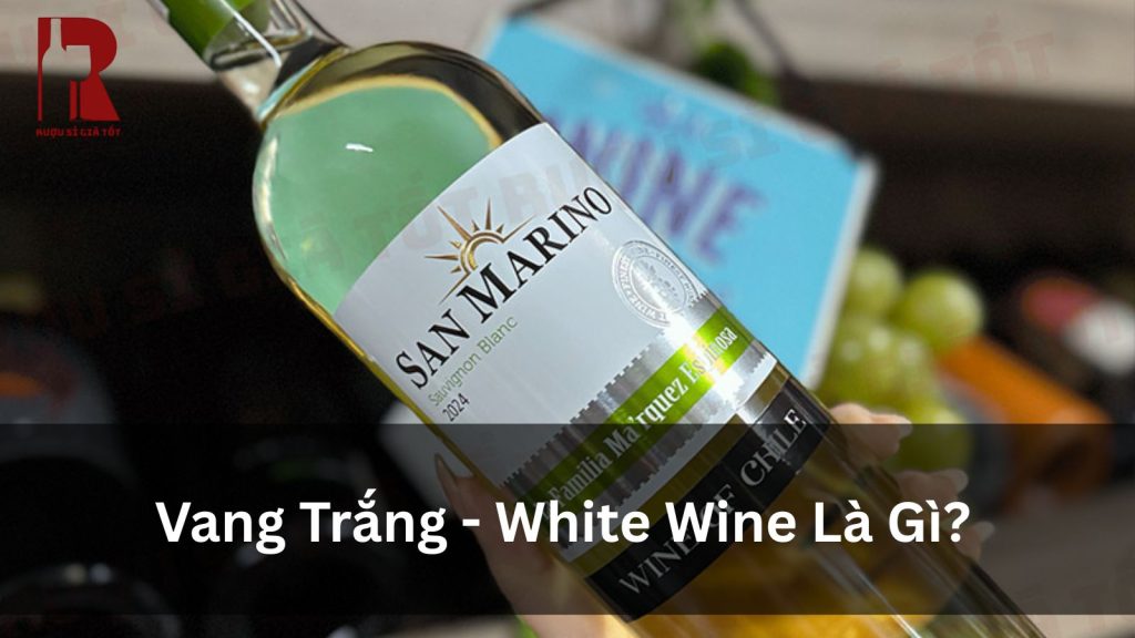 Rượu Vang Trắng Là Gì? Làm Từ Gì & Các Loại