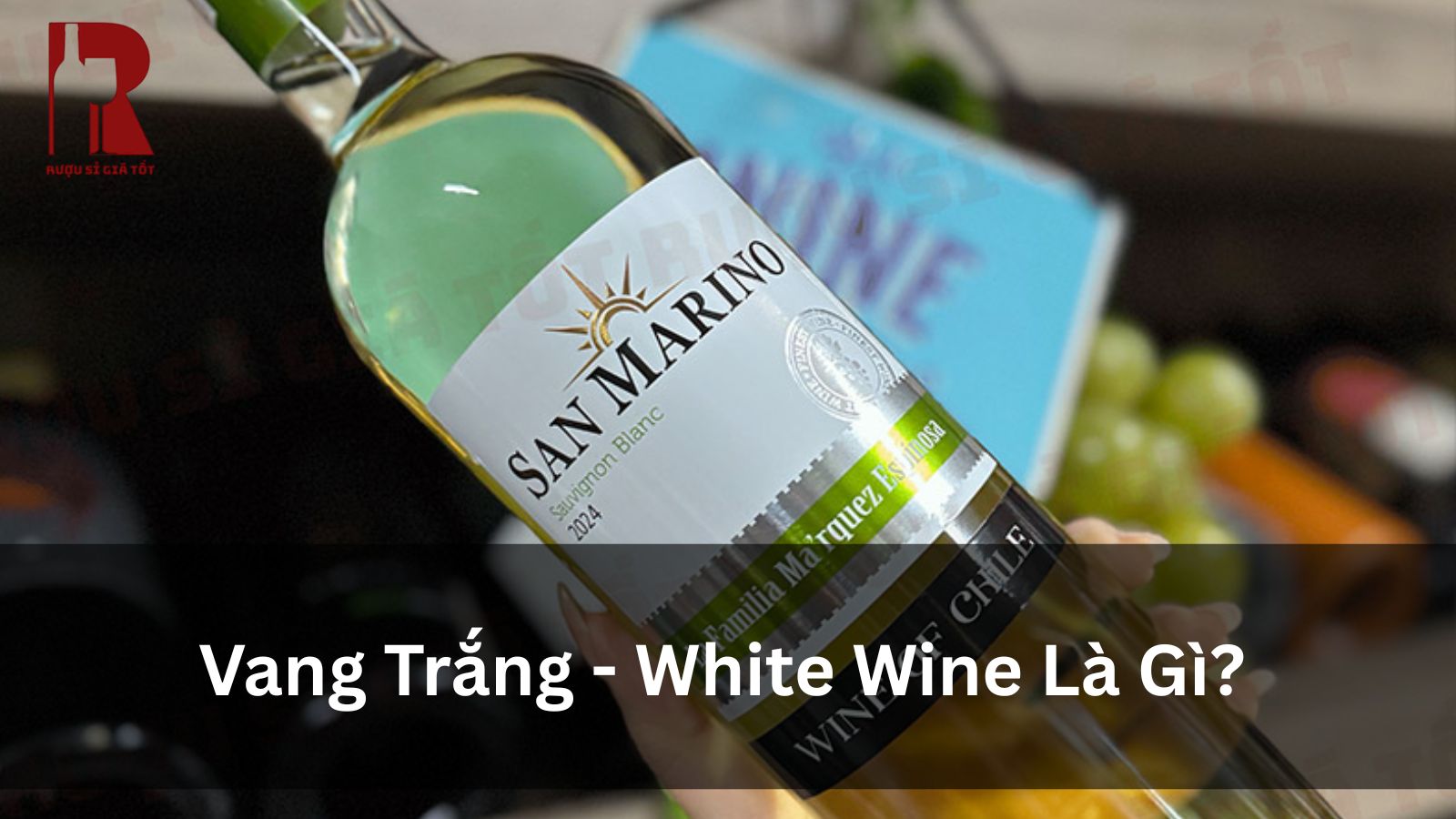 Rượu Vang Trắng Là Gì? Làm Từ Gì & Các Loại
