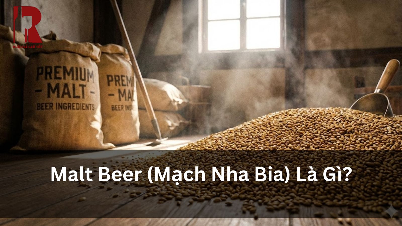 Malt Là Gì? Khám Phá Mạch Nha – “Linh Hồn” Tạo Nên Hương Vị Bia