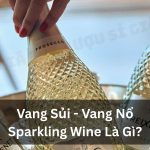 Vang Sủi – Vang Nổ – Sparkling Wine Là Gì?
