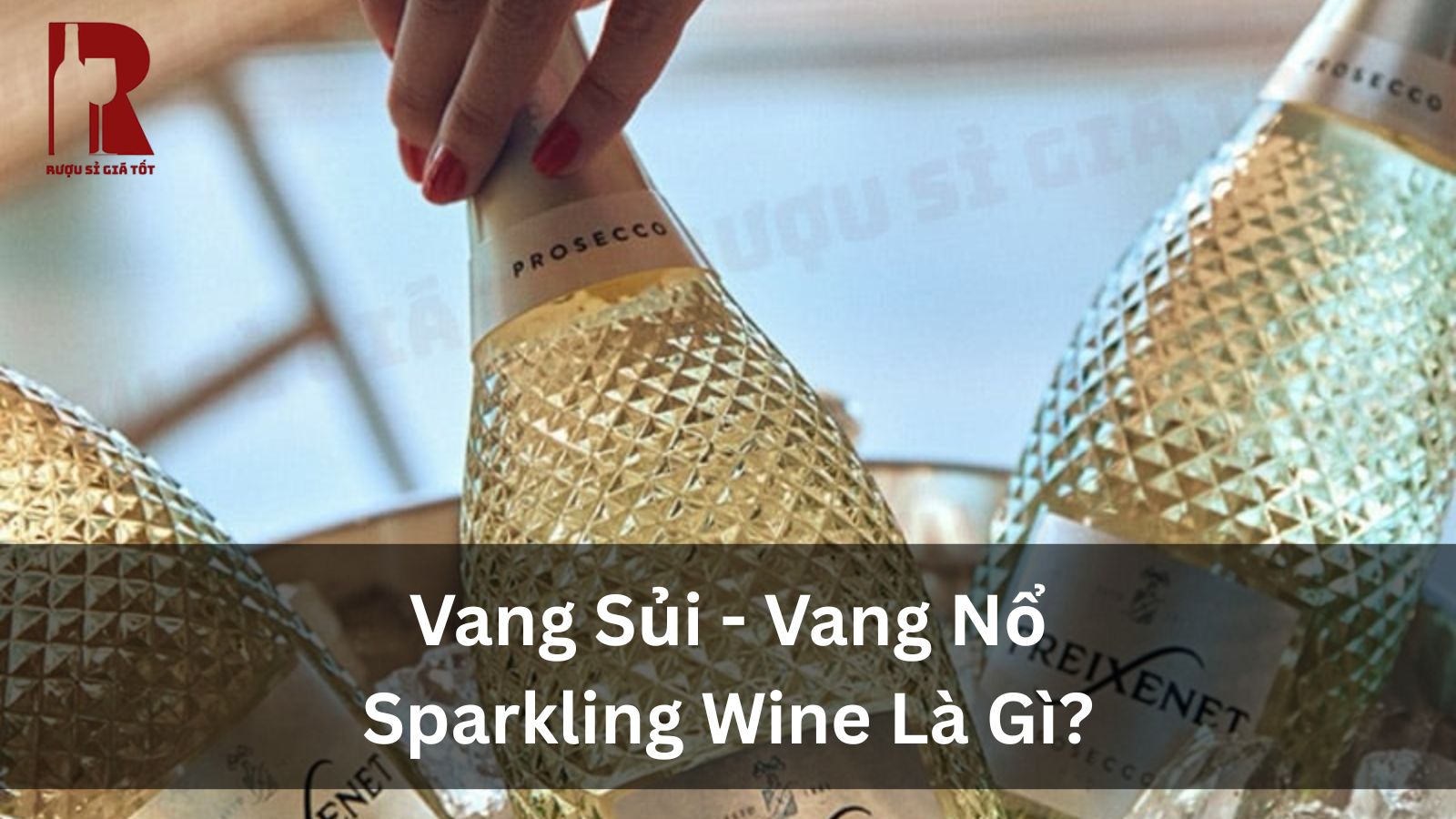 Vang Sủi – Vang Nổ – Sparkling Wine Là Gì?