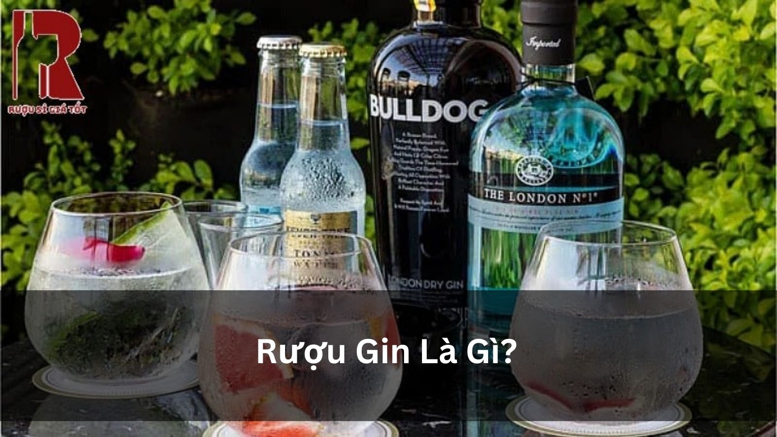Rượu Gin Là Gì? Từ Văn Hóa Cocktail Đến Nghệ Thuật Thưởng Thức