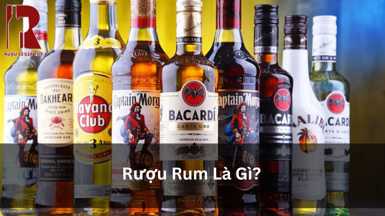 Rượu Rum Là Gì? Khám Phá Hành Trình Từ Mía Đến Ly Cocktail Huyền Thoại