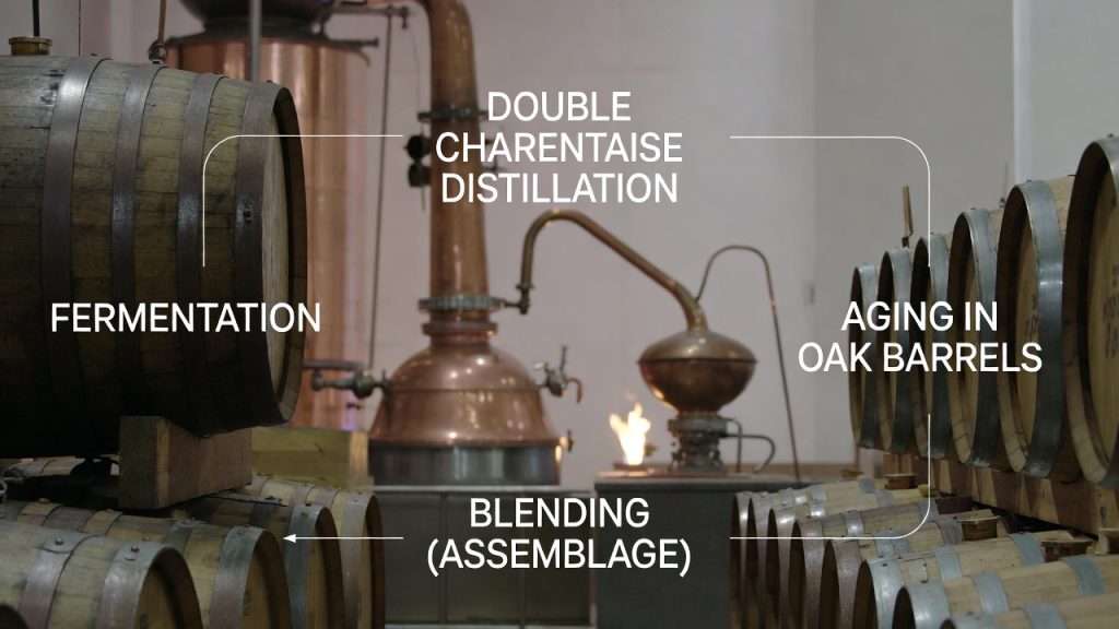 Quy Trình Sản Xuất Rượu Cognac