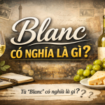 Blanc Là Gì? Từ Rượu Vang Trắng Đến Champagne