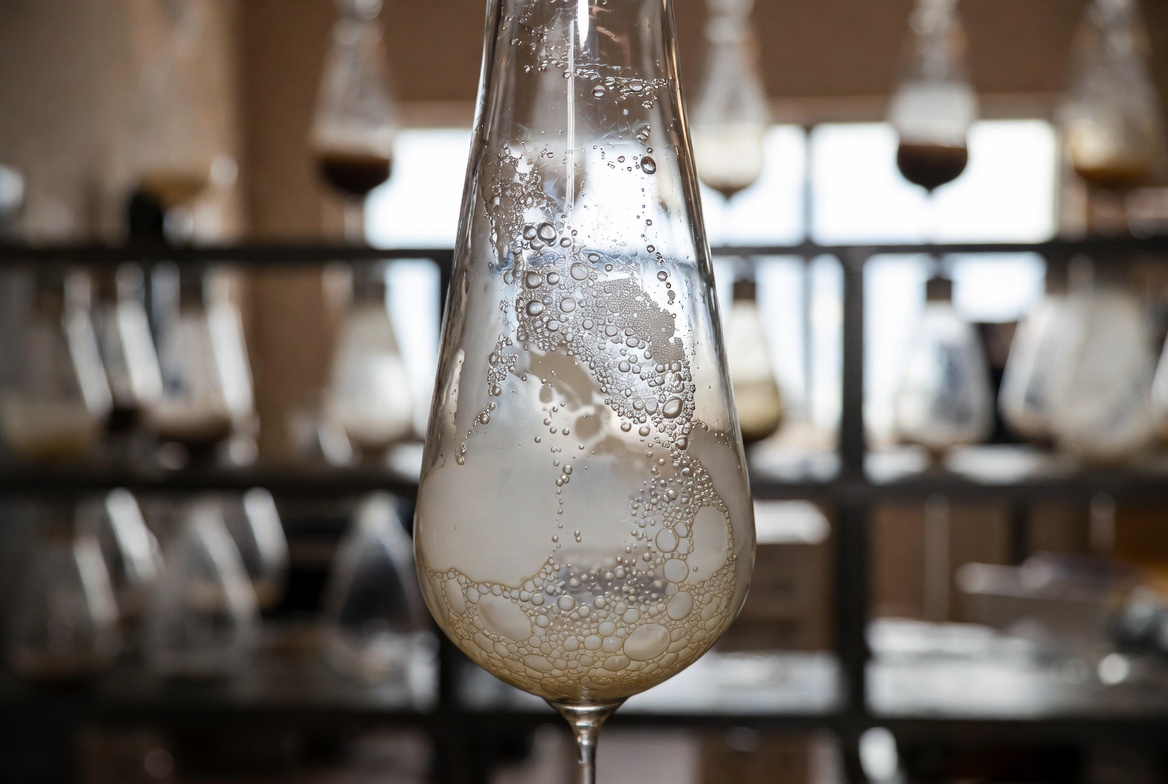 Yeast là gì? Vai trò trong rượu bia & lên men