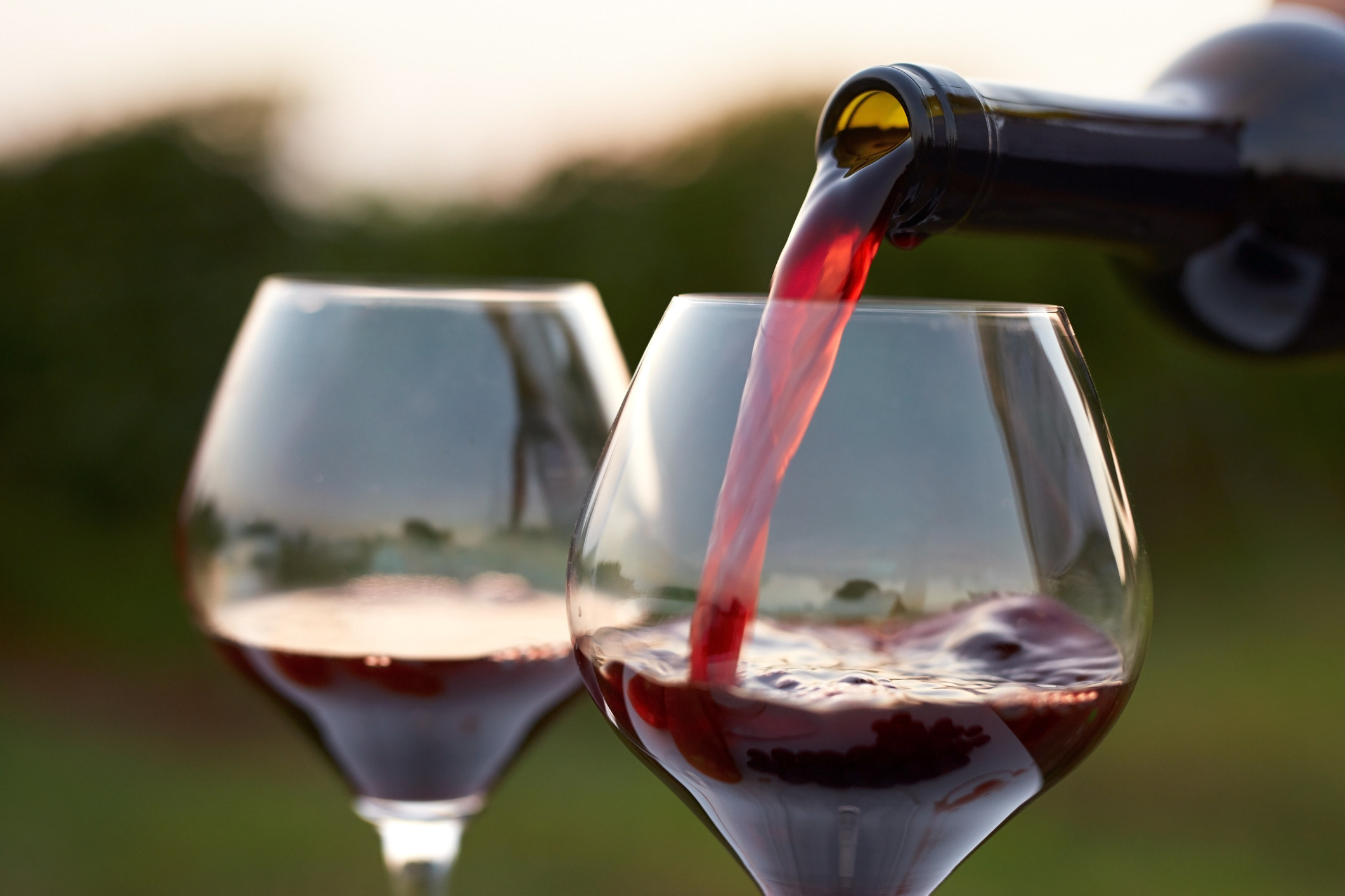Red Wine Là Gì? Định Nghĩa, Giống Nho, Vùng Sản Xuất Và Cách Thưởng Thức