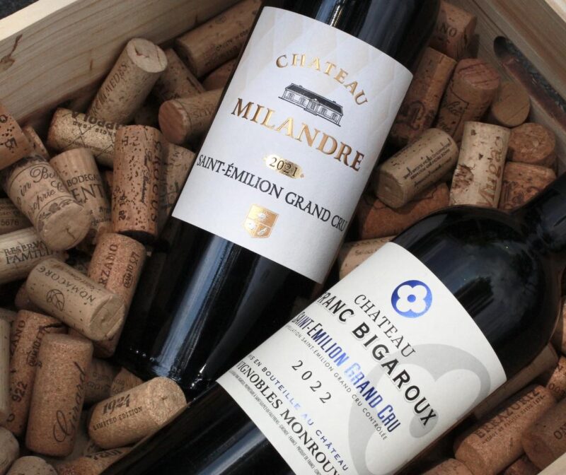 Chateau Là Gì? Ý Nghĩa Trên Nhãn Vang Và Phân Hạng Bordeaux